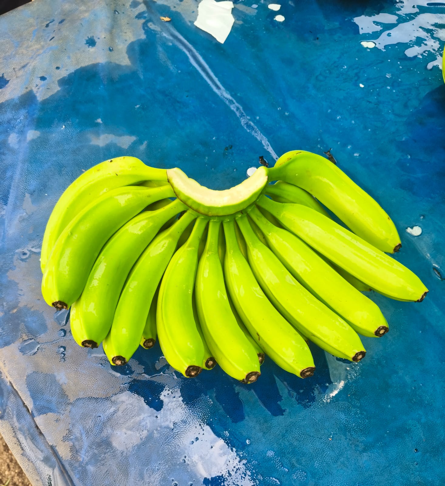 Quality Bananas